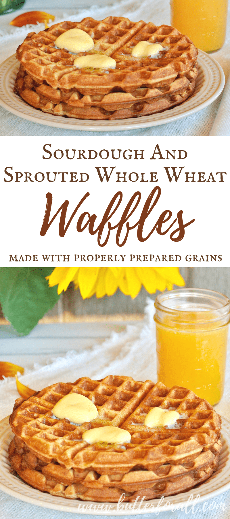 Sourdough And Sprouted Whole Wheat Waffles Made With Properly