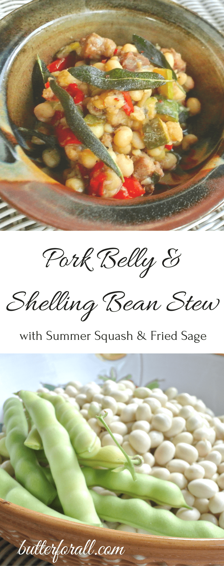 Pork Belly and Shelling Bean Stew • Butter For All
