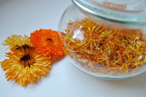 Drying Calendula – Two Methods - A Life Well Planted