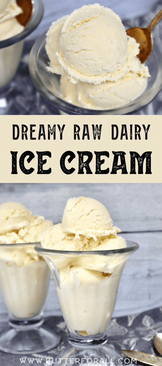 Dreamy Raw Dairy Ice Cream – Only 4 Ingredients, Refined Sugar Free or ...