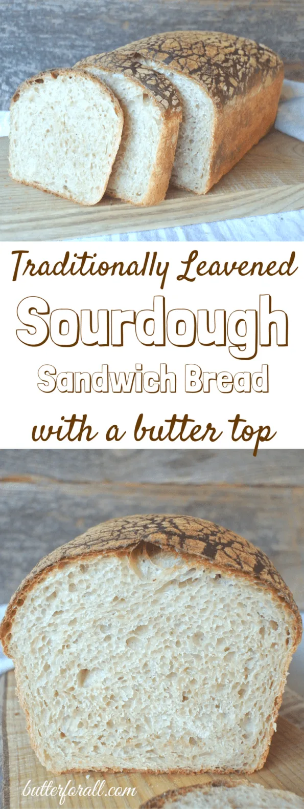 Sourdough Sandwich Bread Recipe - Buttered Side Up