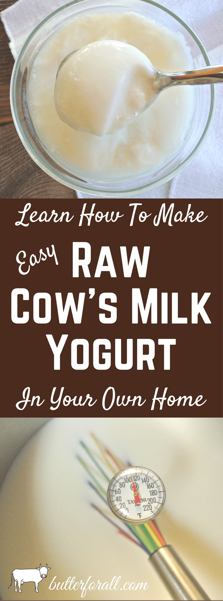 Easy Raw Cow's Milk Yogurt • Butter For All