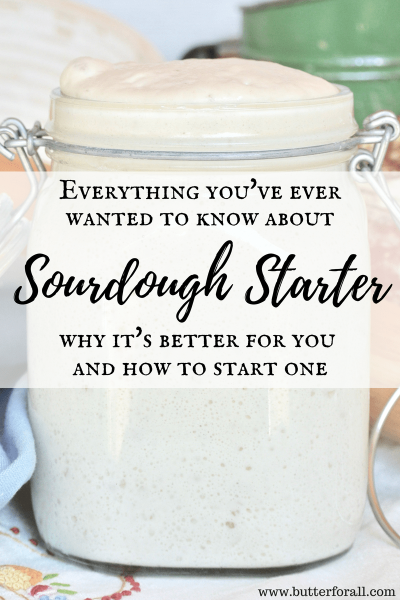 Demystifying Sourdough – Everything You've Ever Wanted To Know About ...