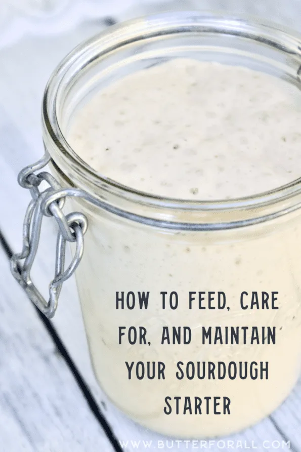 Sourdough Starter Maintenance Routine