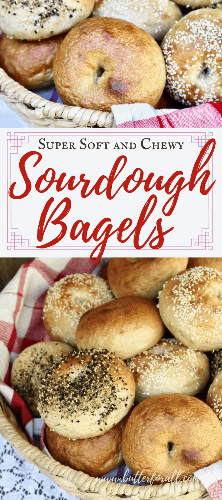 Super Soft and Chewy Sourdough Bagels • Butter For All