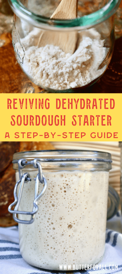 Reviving Dehydrated Sourdough Starter – A Step-by-Step Guide • Butter ...