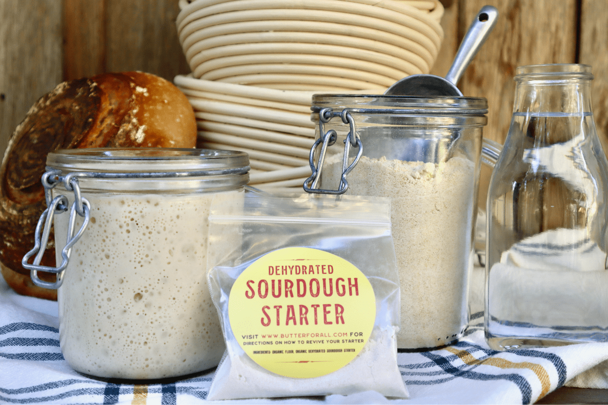 Reviving Dehydrated Sourdough Starter A Step by Step Guide Butter 