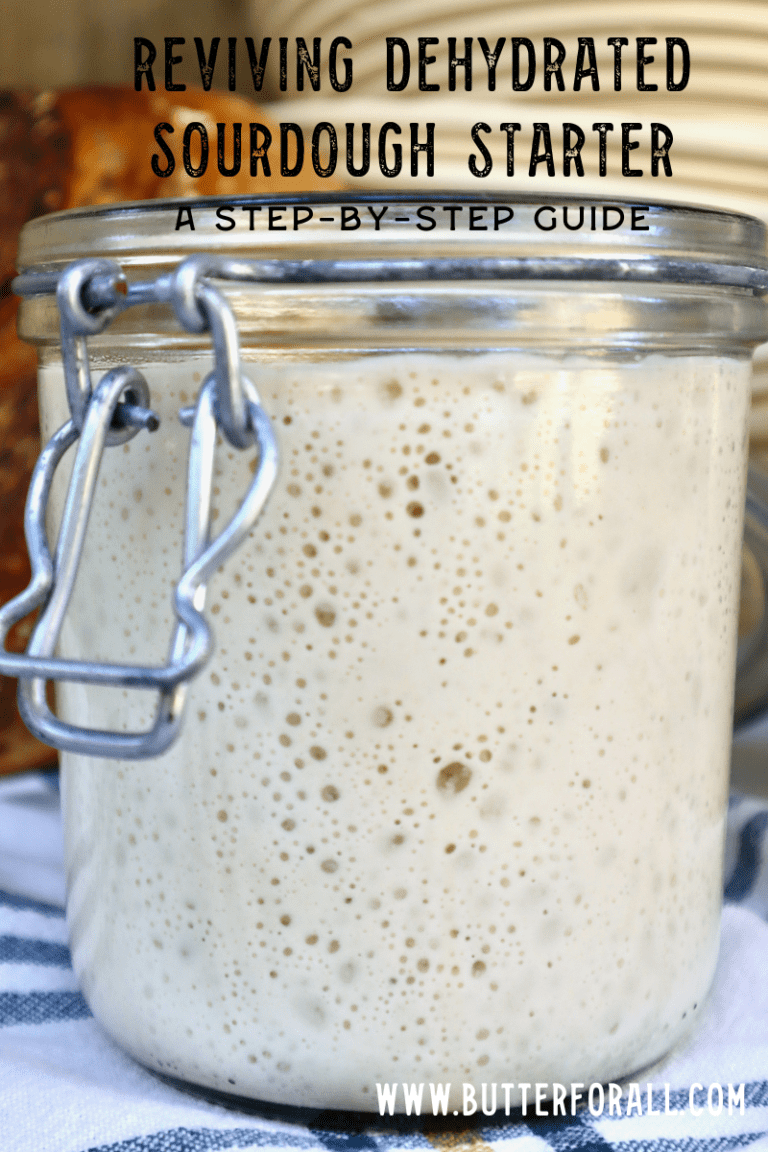 Reviving Dehydrated Sourdough Starter A Step By Step Guide Butter