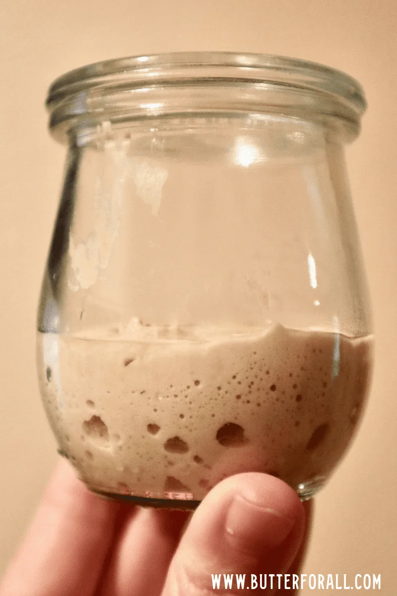 A small jar of starter with some small bubbles throughout.