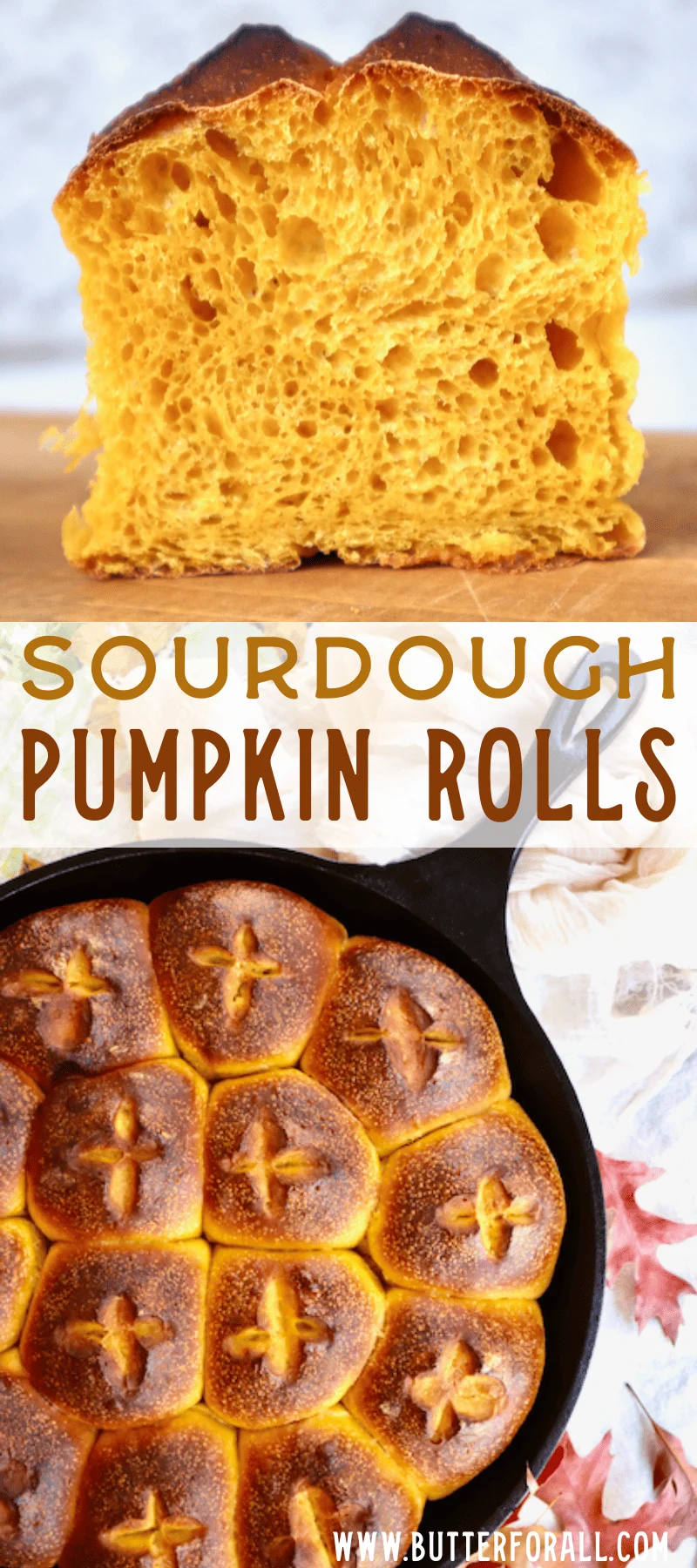 Sourdough Pumpkin Rolls • Butter For All